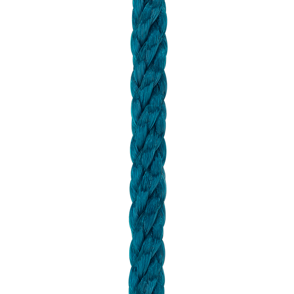 海岸蓝色单圈链绳