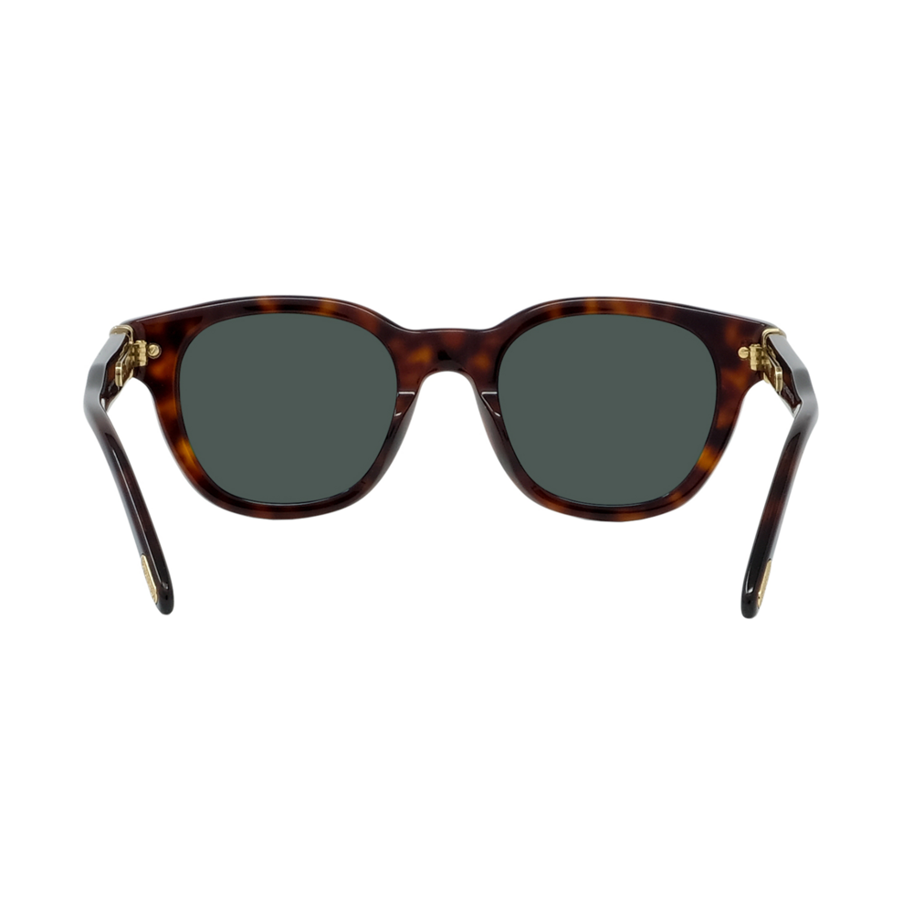 Force 10系列太阳眼镜